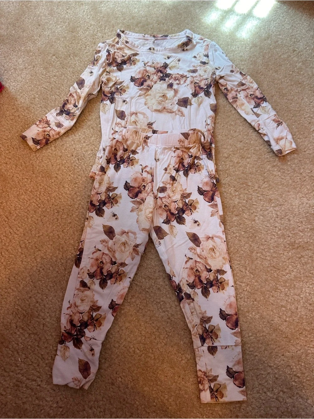 Posh Peanut Reese Floral Long-Sleeve Pajama Set